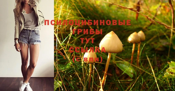 PSILOCYBIN Абдулино