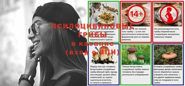 ГАЛЛЮЦИНОГЕННЫЕ ГРИБЫ Абинск